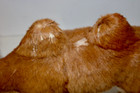 Vintage Fur Covered Camel Home Decor