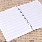Coguzed 100 Pages Blank Sheet Music Notebook - 26x19cm Staff Paper For Musicians