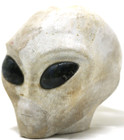 Extra Large Coral Fossil  Alien Head With Labradorite Gemstone Eyes