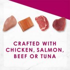 Purina Fancy Feast Savory Centers Pate Wet Cat Food  Gravy Center Collection