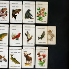Vintage Old Maid Wildlife Edition National Wildlife Federation Playing Card Game