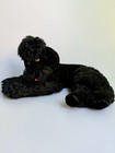 Vintage Steiff Black French Poodle Reclining Ear Button Snobby Not Jointed 12 