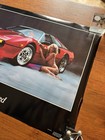 Ferrari Thoroughbred Vintage 1984 Original Pin Up Hot Girl Classic Car Poster