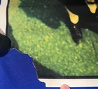 Vintage 1996 Green Day Dookie Promo Poster Punk Reprise Used damaged 24x36in