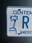 2000 American Samoa License Plate R 844 Rental Type