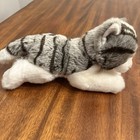 Ganz Webkinz Signature Grey Tabby Cat Stuffed Plush Animal Wkss2005 Sealed Code