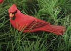 2 Red Cardinal Clip-on Christmas Ornaments  Hand Carved Wood   Painted Nwt