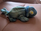 Ty Beanie Baby Rainbow Chameleon Green Blue Version Pvc Pellets 1997 Nwt