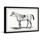  ready For The Ride  By Marmont Hill Framed Animal Art Print 30 In  X 45 In 