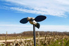 Mojo Outdoors Dove Hunting Decoys And Accessories      choose Style 