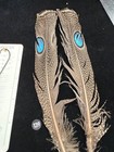 Peacock Pheasant Double Eye Tail Feathers  139