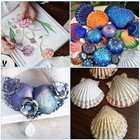 20 Pcs Scallop Shells Natural Seashell  2 3  To 3 5  White Scallop Shells Large