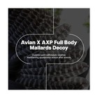 Avian-x Axp Full Body Mallards Decoy With Durable Materials  Wind Activated M   