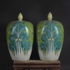 A Pair Chinese Qing Kangxi Famille Rose Porcelain Cabbage Pattern Pot 7 9 