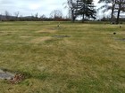 Lot Of  4  Cemetery Plots For Sale Twin Hills Memorial Park Muncy Pa  5 000 Obo