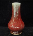 Elegant Old Chinese Red And Green Glazes Porcelain Vase Bottle  kangxi  Mark