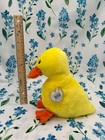 Ty Beanie Buddy    wingless Quackers    Yellow Spring Easter Duck Rare Buddy  