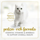 Purina Fancy Feast Classic Pate Wet Cat Food Poultry Beef  3 Oz 48 Cans
