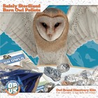 Obdk Barn Owl Pellets Activity - 20 Pack Medium-sized With Tools   Guide