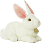 - Miyoni - 10  American White Rabbit