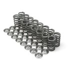 Brian Crower 80lb Valve Spring   Steel Retainer Kit Fits Honda K20a K24 S2000