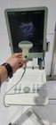 Bk Medical Type 1202 Ultrasound With Convex Vaginal 2probe