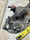 Vintage Quail Family Figurine 19   