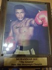 Muhammad Ali Heavyweight Champ  the Greatest  Boxing Autographed 8x10 Jsa Loa