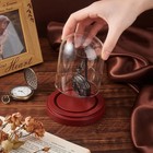 Ph Pandahall 3 X 4 Inch Pocket Watch Display Case Glass Dome Clear 
