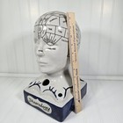 Phrenology Bust Table Head Statue 13    Ceramic Vintage Porcelain Pseudoscience