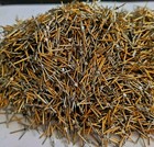 1lb  Scrap Gold Plated Pins Vintage Electronics Scrap Gold Recovery Connectors