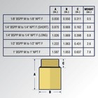 Male Bspp To Female Npt Brass Adapter 1 8   1 4   1 2   1 