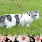 Adjustable Escape Proof Cat Harness And Leash Set For Kittens And Cats