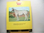 Vintage Appaloosa News Magazine Original February 1974