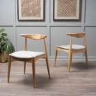 Sandra Mid Century Modern Dining Chairs  set Of 2 