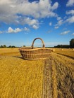 Extra Large Wicker Trug Basket Handwoven Willow Foraging Harvest Garden Storage