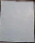 Tiger Woods Autographed 8x10 Photo Authentic