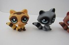 Mixed Lot Of Five  5  2006 Lps Littlest Pet Shop Raccoon Toy Figures Cute 
