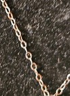 Vintage 26in Sterling Silver Chain And Horn Pendant        