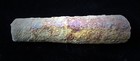 Cephalopod- Large-6 -cameroceras Inaequabile-ordovician- Cincinnati  Ohio