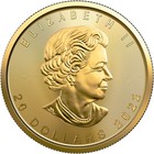 2022 1 2 Oz Canadian Gold Maple Leaf Coin  bu 