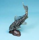 Kaiyodo Animatales Animal In Japan Vermiculated Sailfin Catfish Figure Us Seller