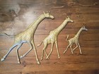 Set Of Three Vintage Brass Giraffe Wall Hanging
