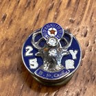 Vintage 25 Years Bpoe Benevolent Protective Order Of Elks Award Pin  sterling 5j