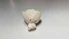 50 Bloom Rose 2 Inch  Dia  Diffuser Flowers Sola Balsa Wood Wholesale Bouquet 