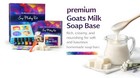 Soap Making Kit For Adults  Standard  Pink  Purple  Blue  Green  Yellow  Red