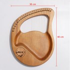 Lyre Harp 24-string Harp Solid Wood Mahogany Lyre Harp With Pick Strings Wiper