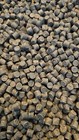 New 1 4  Composite Deck Plugs -  timbertech Sea Salt Gray 