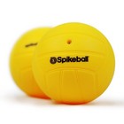Spikeball Replacement Balls  2 Pack