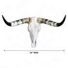 Genuine Longhorn Skull 34    Wide Western Ranch Wall Decor